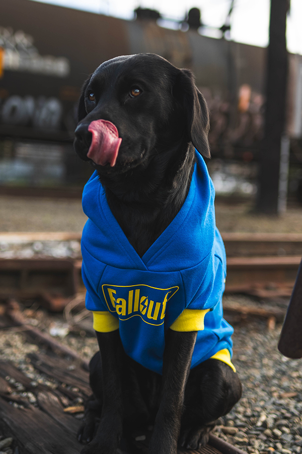 Alternative view of Fallout Vault 101 Pet Hoodie