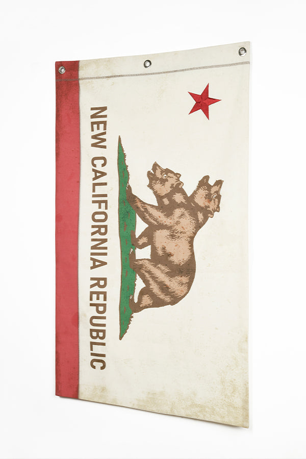 Alternative view of Fallout NCR Canvas Banner