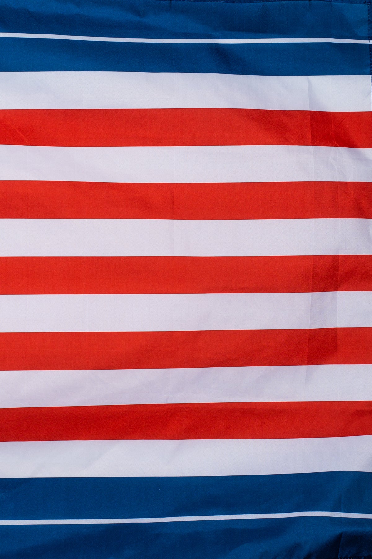Alternative view of Minutemen Flag